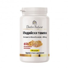 Dr. Nature Индийски тамян, 90 капусли